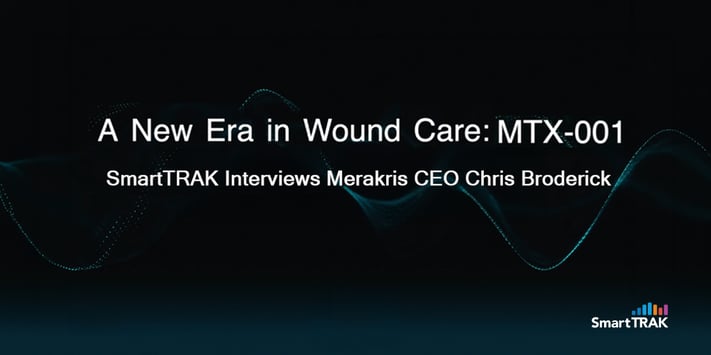 Merakris Header v2 8.26.26