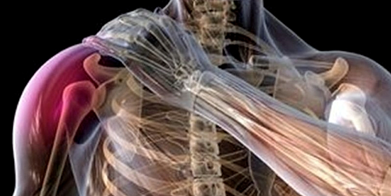 Shoulder Injury Soft Tissue Fixation