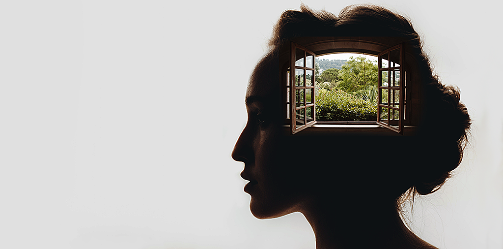 Window Mind Header